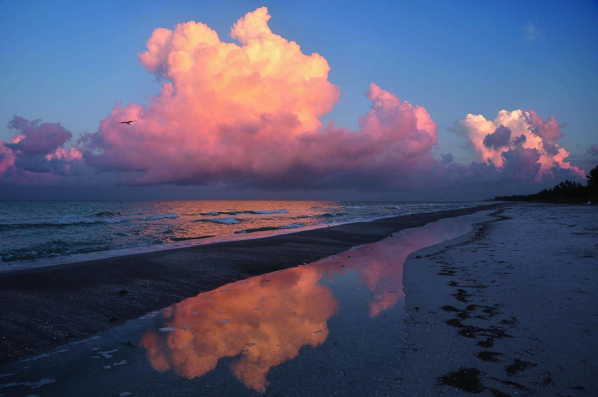 Beach Castle Resort By Rva Longboat Key Exteriör bild